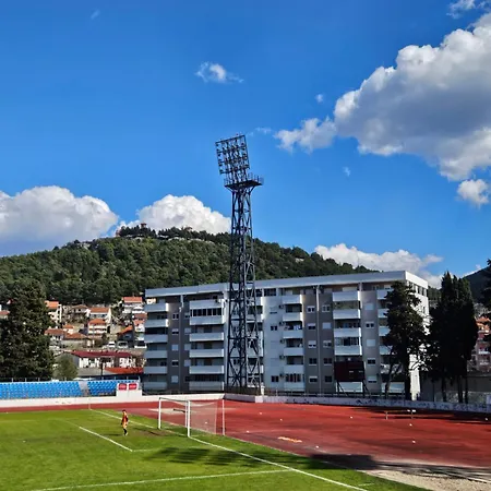 Leotar View